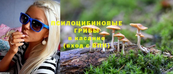 эйфоретик Вязьма